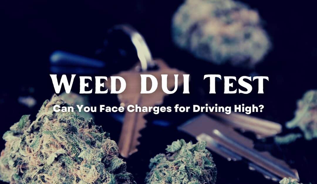 Weed DUI Test: Can You Face Charges for Driving High?